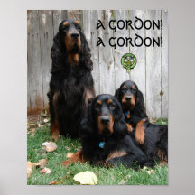 ¡UN GORDON! ¡UN GORDON! Poster del organismo de Go