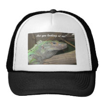 Un gorra presumido del lagarto.  (Es usted que me 