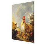 Un grupo de las aves del corral, 1643 impresiones en lona