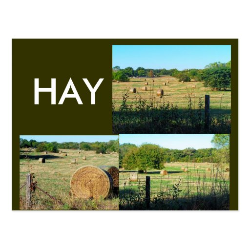 Un HENO grande del país Tarjetas Postales