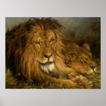 Un león y una leona posters