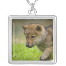 Un lobo del bebé colgantes