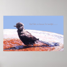 Un Mockingbird muy mojado Poster