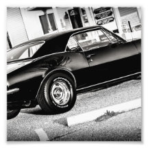 Un mún Camaro Impresiones Fotográficas