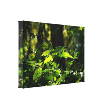 Un mundo del verde impresión en lienzo estirada