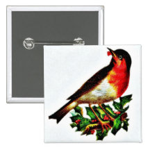 Un pájaro mirando fijamente algo n permanente chir pins