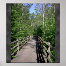 Un paseo a recordar impresiones