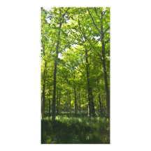 Un paseo del bosque tarjeta personal con foto