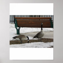 Un paseo en el parque posters