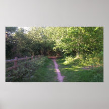 Un paseo en las maderas poster