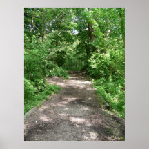 Un paseo en las maderas poster