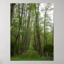 Un paseo suave poster