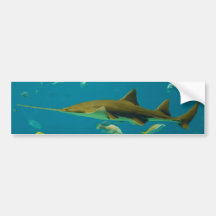 Un pectinata del Pristis del Sawfish de Smalltooth Etiqueta De Parachoque