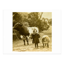 Un pequeño niño los llevará postal