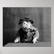 Un perro de mar viejo: 1905 poster