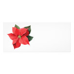 Un Poinsettia del navidad Lonas Personalizadas