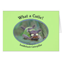 Un qué insecto de Cutie Tarjetas