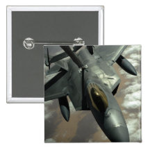 Un rapaz de la fuerza aérea de los E.E.U.U.F-22 es Pin