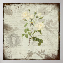Un rosa blanco para la abuela impresiones