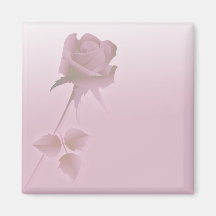 un solo rosa color de rosa silencioso iman para frigorífico