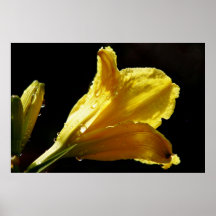 ¡Un tacto de la primavera! Posters