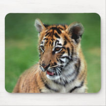 Un tigre de bebé lindo alfombrillas de ratones