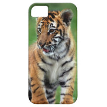 Un tigre de bebé lindo iPhone 5 Case-Mate fundas