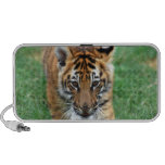 Un tigre de bebé lindo mini altavoz