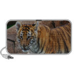 Un tigre de bebé lindo PC altavoces