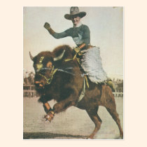 Un vaquero feliz en un búfalo Bucking tarjetas postales