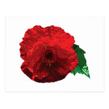 Una amapola roja tarjetas postales