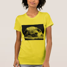 Una camisa del barro amasado