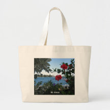 Una clase del St. Croix de día Bolsa