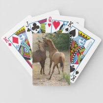 Una conversación del caballo salvaje cartas de juego