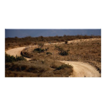 Una curva en el camino Photocard Tarjetas Fotográficas Personalizadas