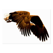 Una elevación de Eagle Plantillas De Tarjeta De Negocio