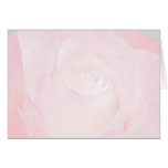 Una flor para mi amor le agradece las tarjetas