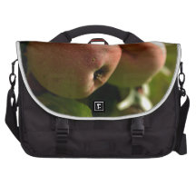 una manzana orgánica bolsa de ordenador