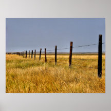 Una milla de la pradera enmarcada posters