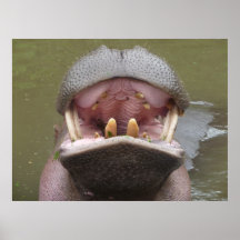 Una mueca dentuda poster