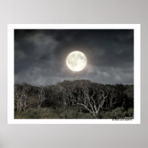 Una noche de Guana Poster