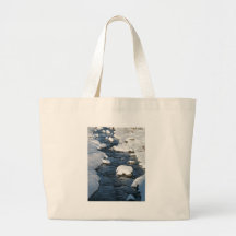 Una opinión del río Nevado Bolsas