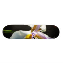 Una orquídea con los pétalos blancos tablas de patinar
