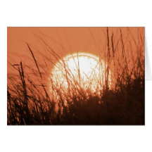 Una poca sol felicitación
