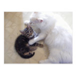 una postal del gatito del amor de madres
