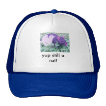 una rata gorros bordados
