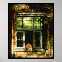Una siesta en el sol - Brujas Poster