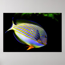 Una sorpresa agradable poster
