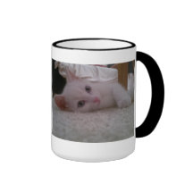 Una taza del purrrrfect de té en una taza del gati