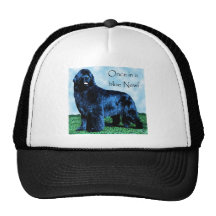 Una vez en un Newf azul Gorras De Camionero